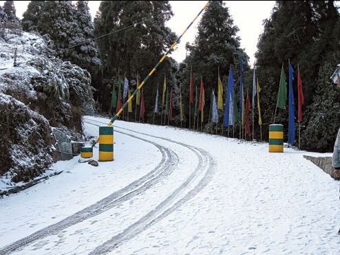 Photo of दार्जिलिंग by shub