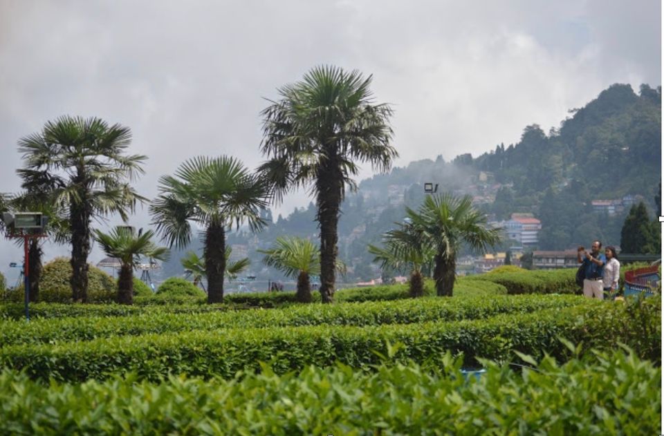 Photo of दार्जिलिंग by shub