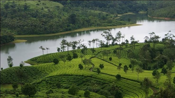 Photo of केरल by shub
