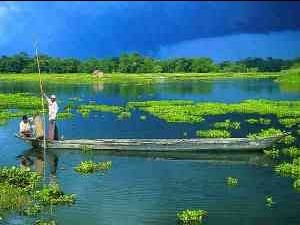 Photo of असम by shub