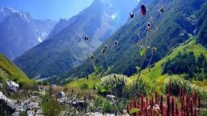 Photo of असम by shub
