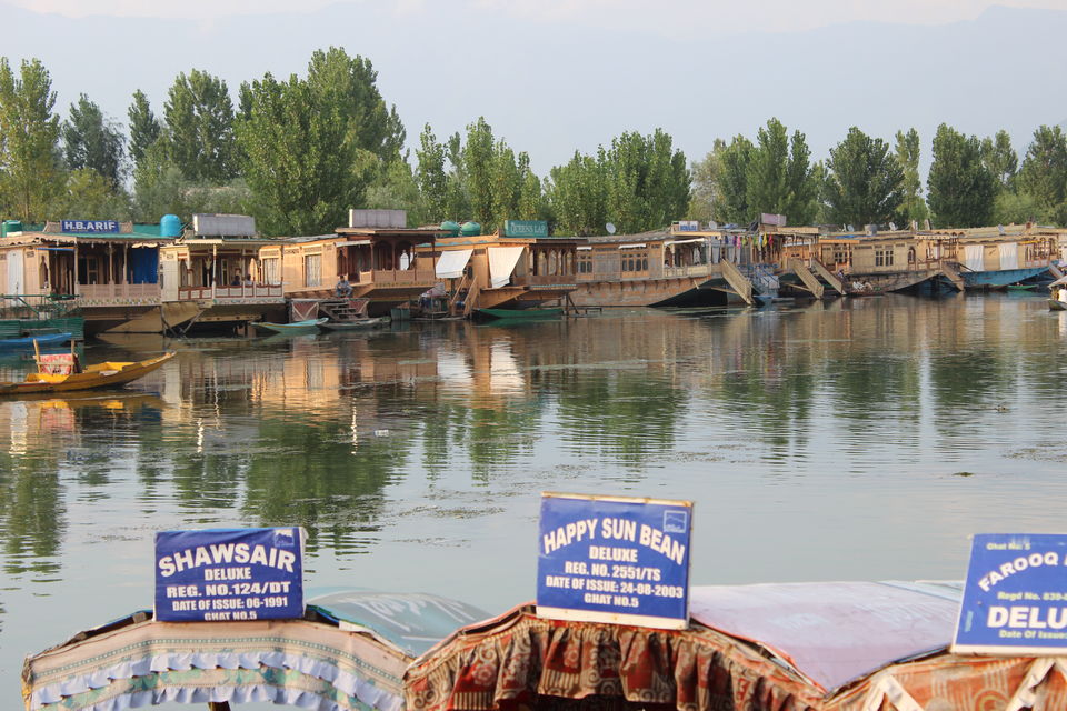 Photo of Dal Lake: Captivating, mesmerising and much more... 1/13 by Sanjay Raturi