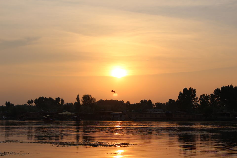 Photo of Dal Lake: Captivating, mesmerising and much more... 3/13 by Sanjay Raturi