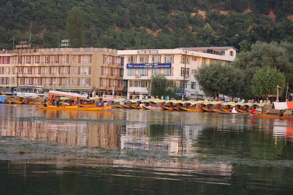 Photo of Dal Lake: Captivating, mesmerising and much more... 4/13 by Sanjay Raturi