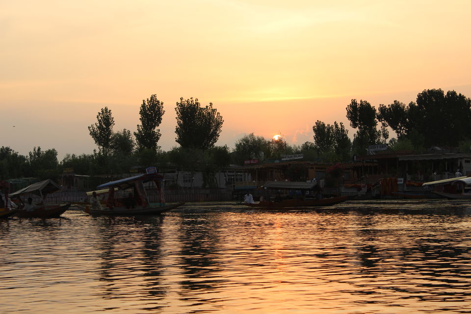 Photo of Dal Lake: Captivating, mesmerising and much more... 6/13 by Sanjay Raturi
