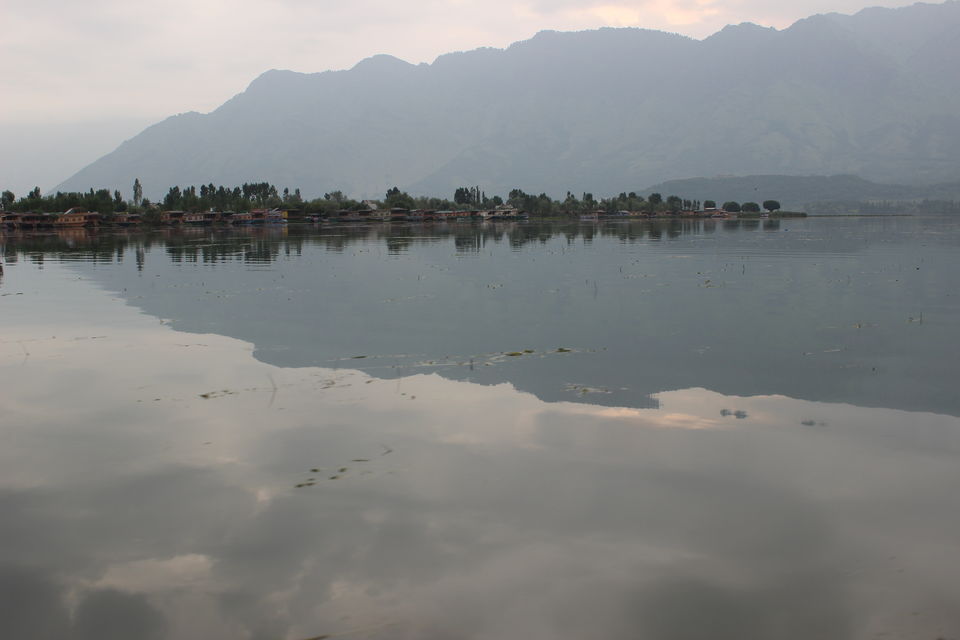 Photo of Dal Lake: Captivating, mesmerising and much more... 10/13 by Sanjay Raturi