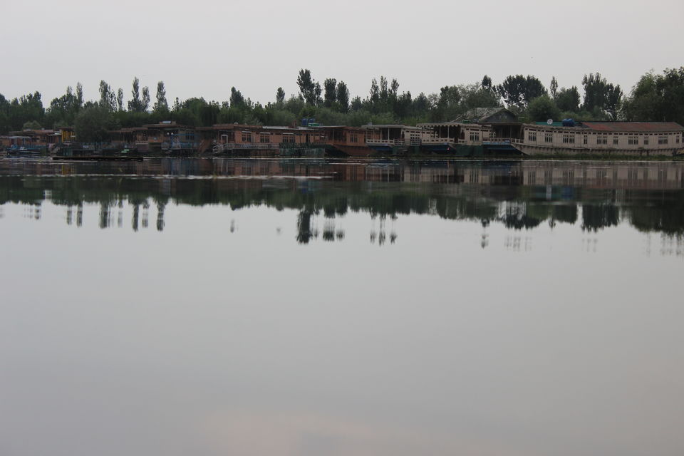 Photo of Dal Lake: Captivating, mesmerising and much more... 12/13 by Sanjay Raturi