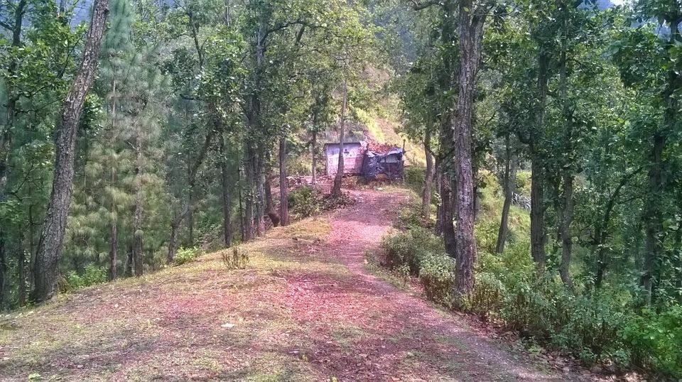 Photo of Lansdowne: An unexpected treat in Uttrakhand 6/14 by Sanjay Raturi