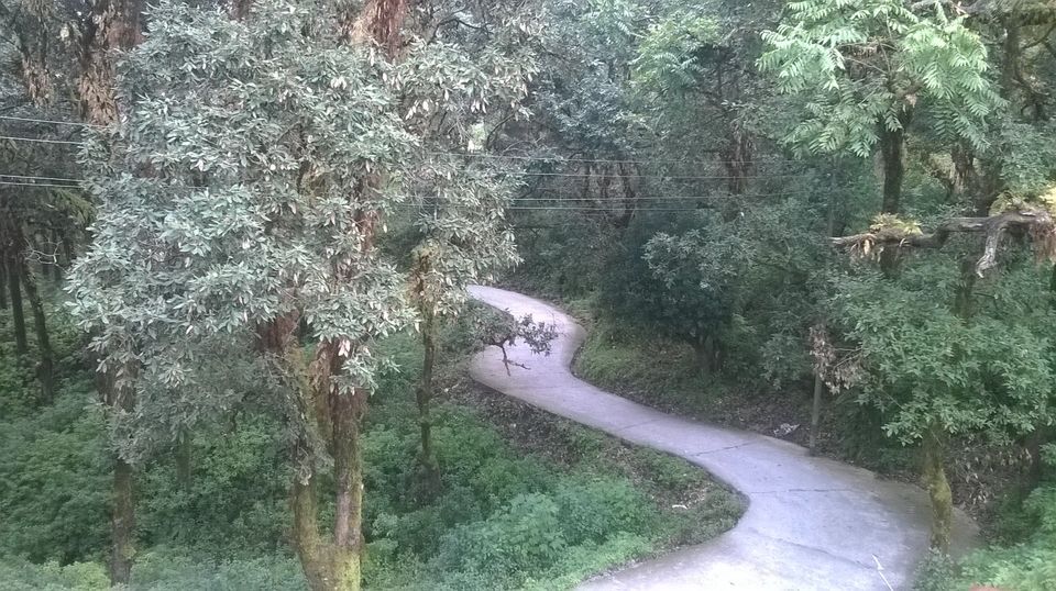 Photo of Lansdowne: An unexpected treat in Uttrakhand 14/14 by Sanjay Raturi