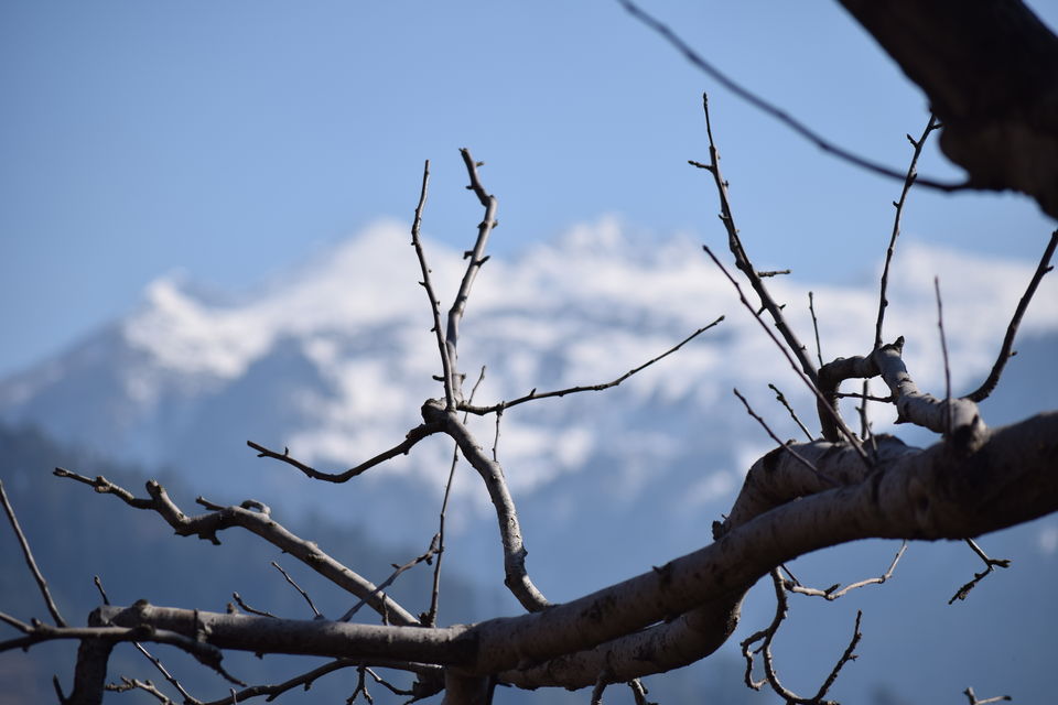 Photo of Manali: When the mountains call, you must answer 2/16 by Sanjay Raturi