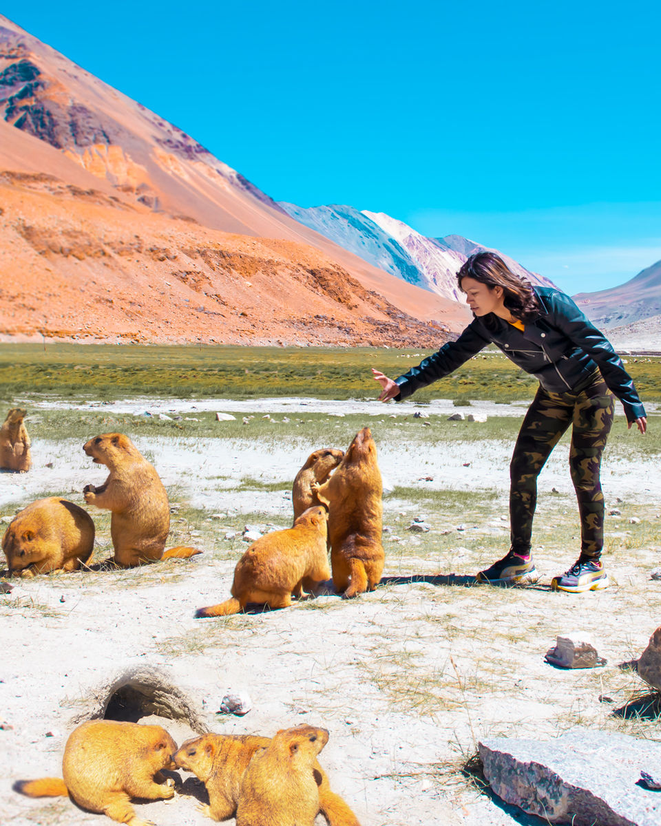 Photo of Places in Leh Ladakh every photographer has to visit 10/20 by WanderfulPassport