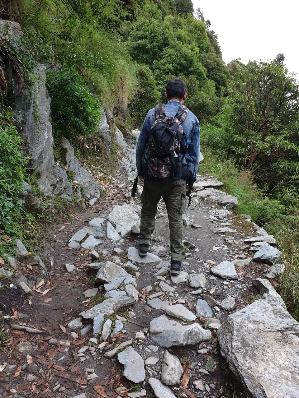 Photo of McLeodganj - Triund Trek by StagRides