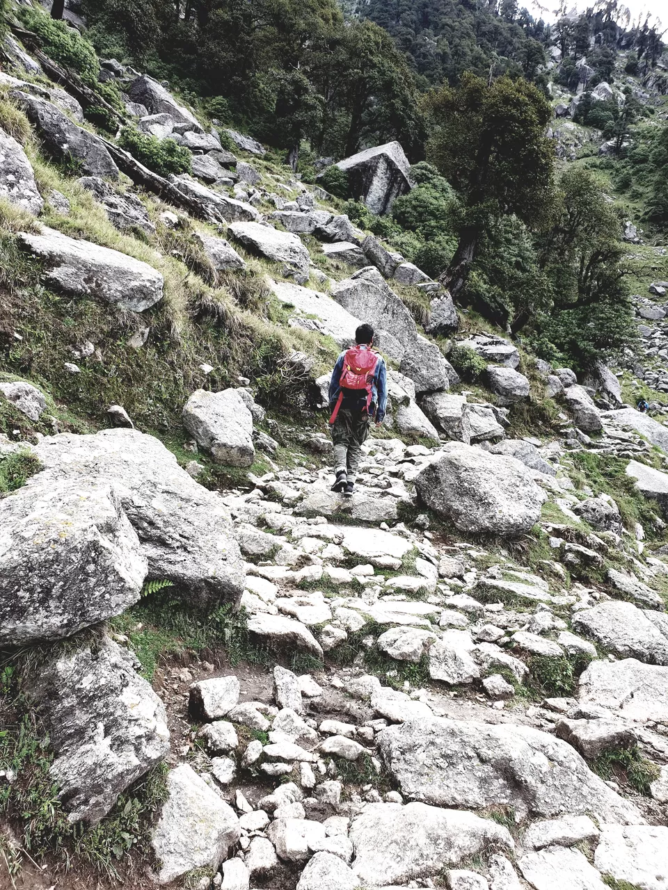 Photo of McLeodganj - Triund Trek by StagRides