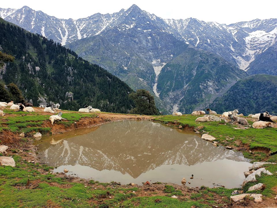 Photo of McLeodganj - Triund Trek by StagRides