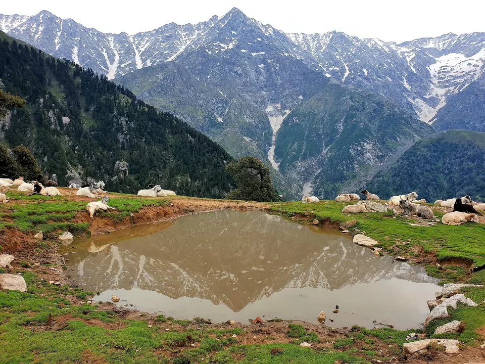Photo of McLeodganj - Triund Trek by StagRides