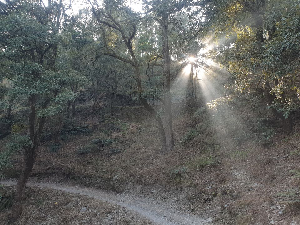 Photo of Unexplored Uttarakhand - Churaini Village trek, Pangot, Nainital by StagRides
