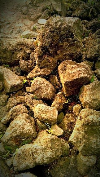 Photo of Costa Rica: Highlights from my vacation 9/15 by Saravanan