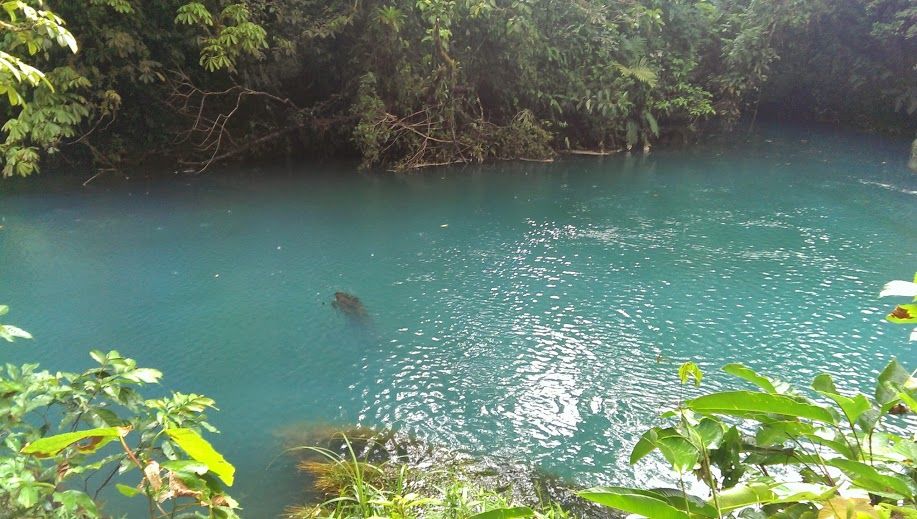 Photo of Costa Rica: Highlights from my vacation 14/15 by Saravanan