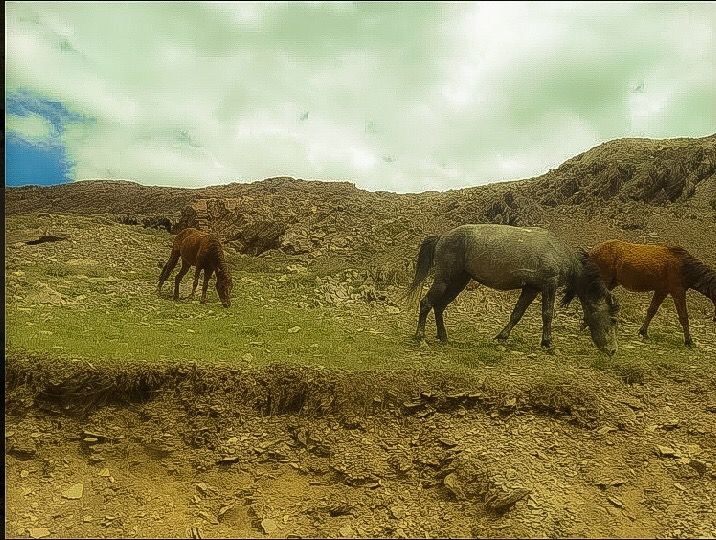 Photo of Chandra Taal, Himachal Pradesh by Anshu Singh