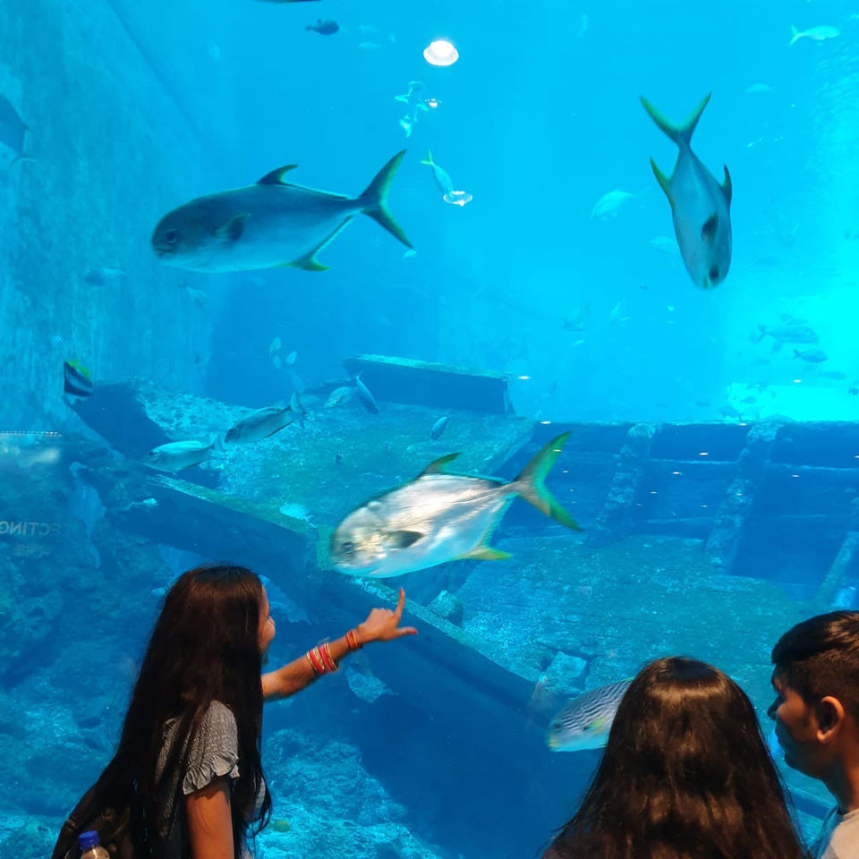 Photo of Sentosa Gateway, S.E.A. Aquarium, Sentosa Island, Singapore by Anshu Singh
