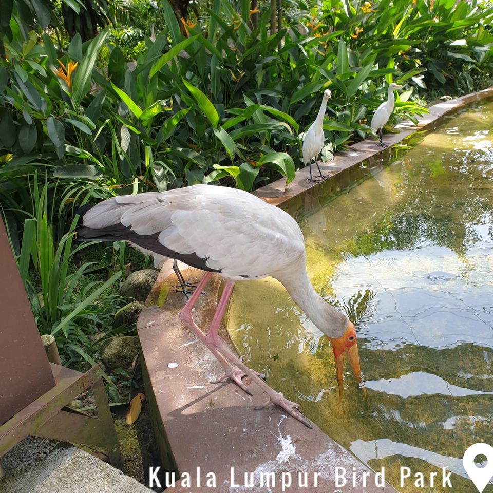 Photo of 10 Days Trip to Singapore - Malaysia - Langkawi Island by Anshu Singh
