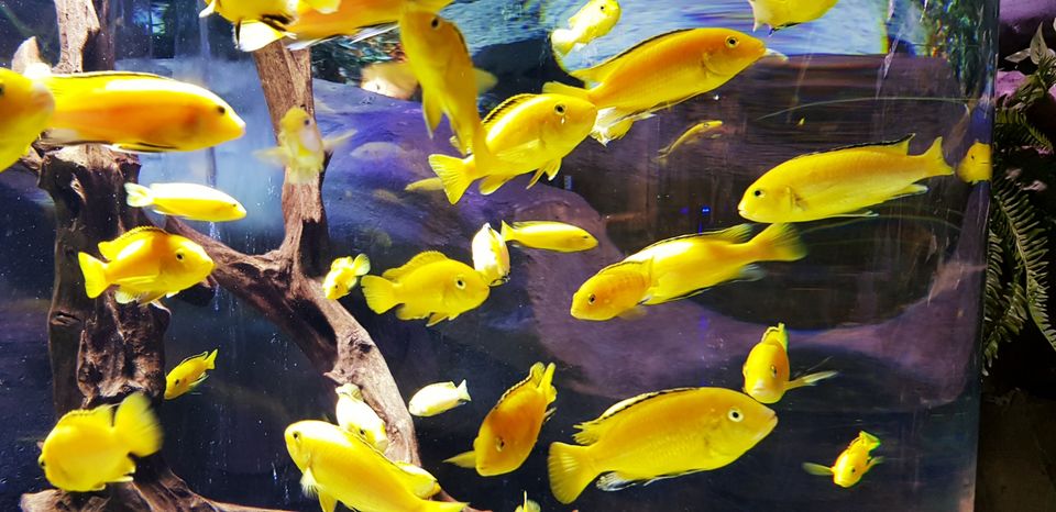 Photo of Mall of the Emirates - Dubai - United Arab Emirates by sindhuja s