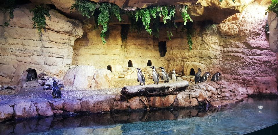 Photo of Mall of the Emirates - Dubai - United Arab Emirates by sindhuja s