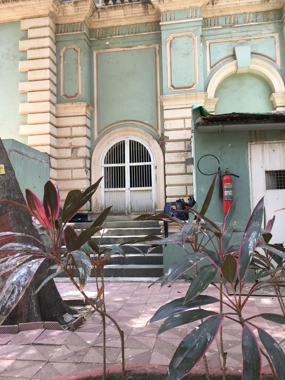 Photo of Exploring My Neighbourhood by Nomadic tribe