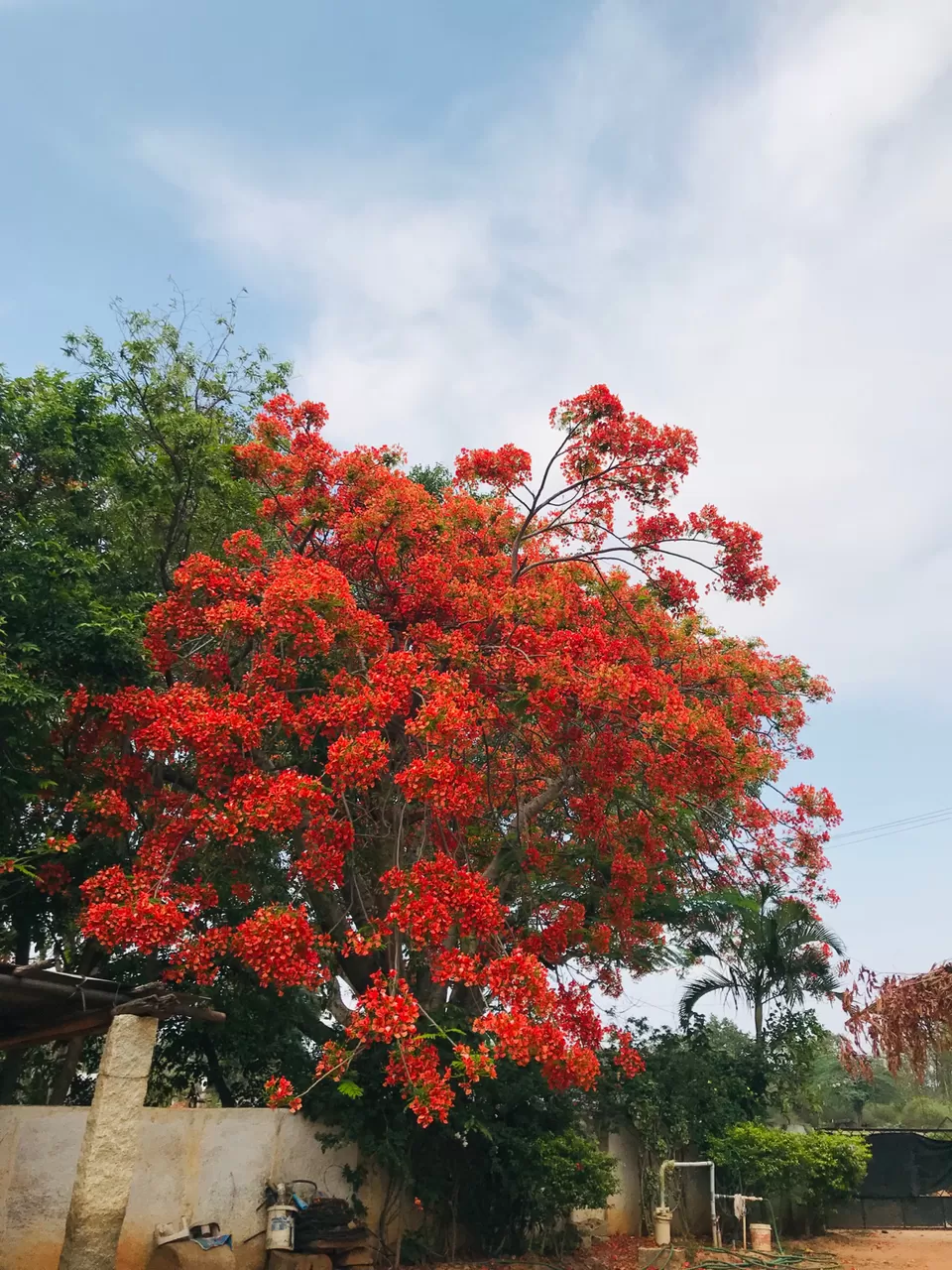 Photo of Kolar, Karnataka, India by Chandana Rao
