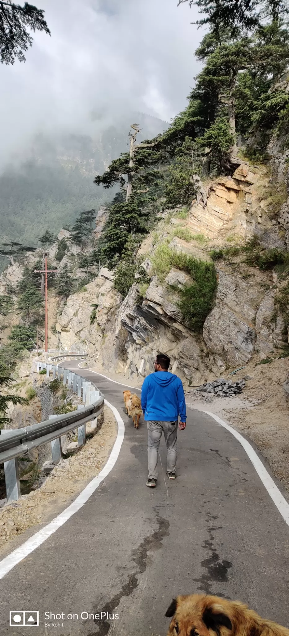 Photo of Kalpa, Reckong Peo, Himachal Pradesh, India by Rohit Soni