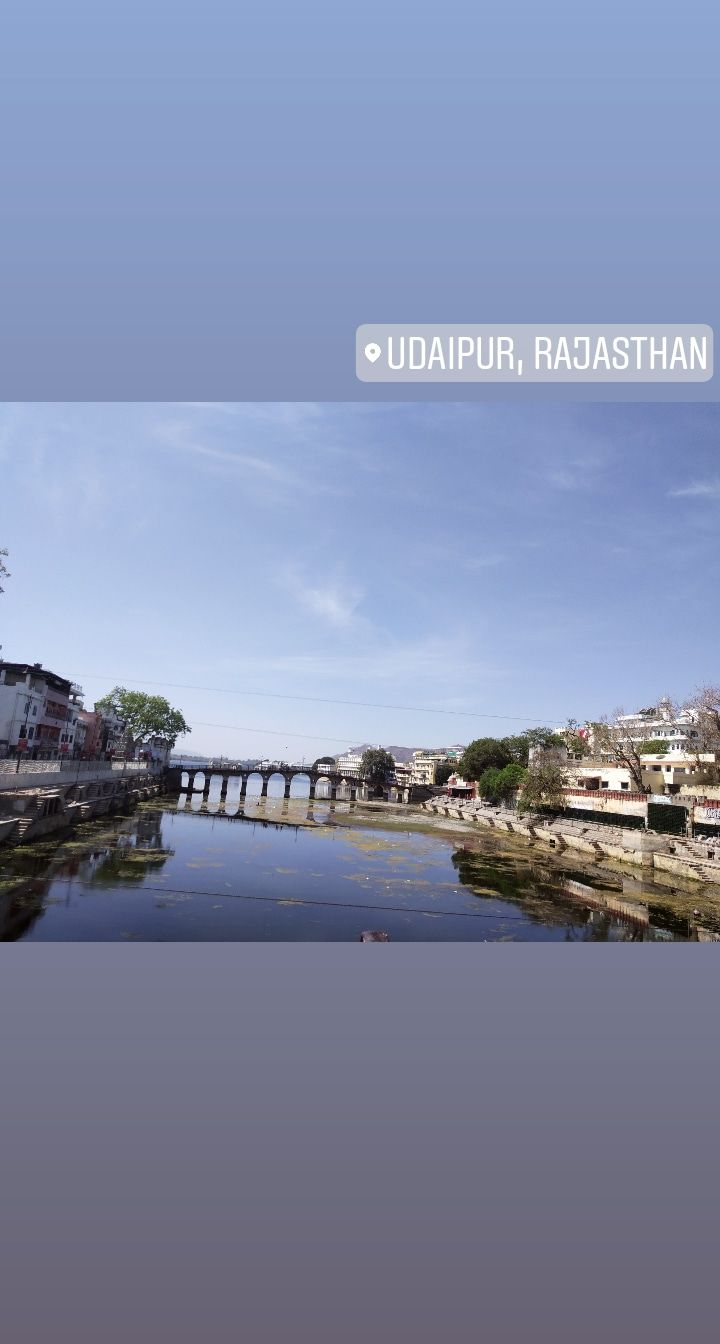 Photo of Dharohar, HAL 2nd Stage, Kodihalli, Bangalore, Karnataka by Namitha Vinod