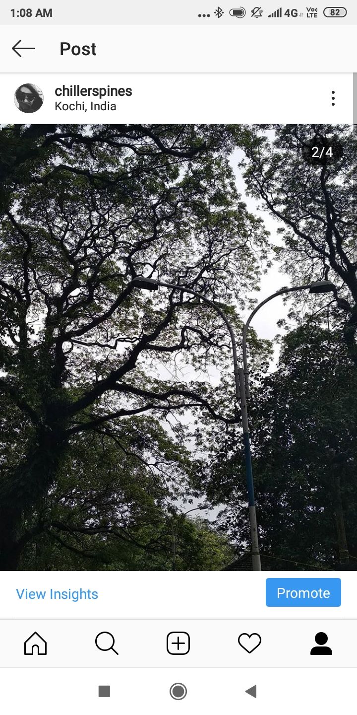 Photo of Fort Kochi, Kochi, Kerala, India by Namitha Vinod
