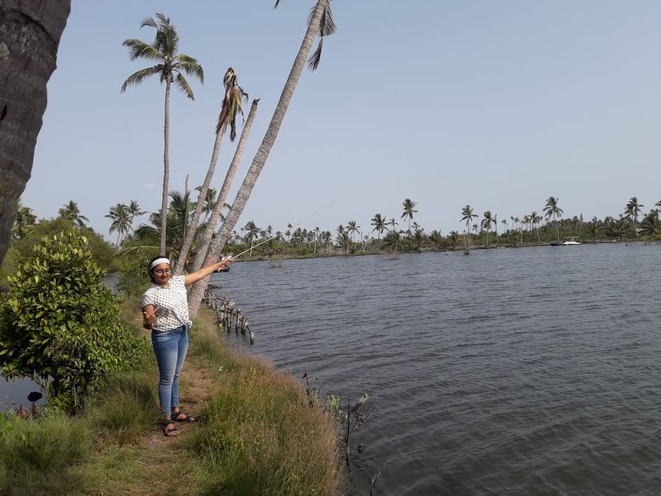 Photo of Fish Farm Road, Amrita Nagar, Edappally, Kochi, Kerala, India by Namitha Vinod