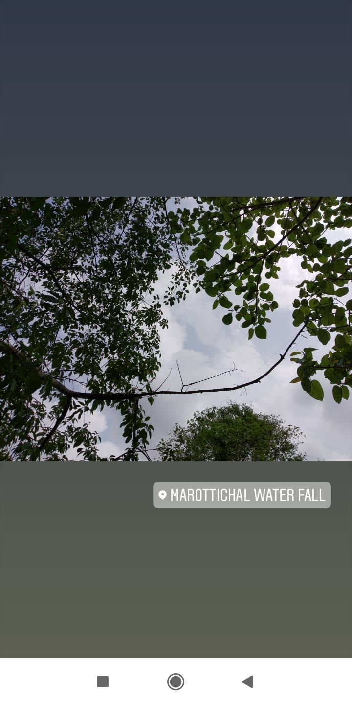Photo of Marottichal, Kerala, India by Namitha Vinod