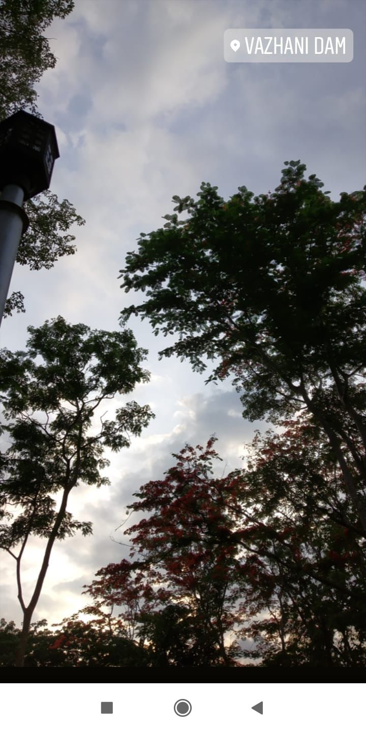 Photo of Marottichal, Kerala, India by Namitha Vinod