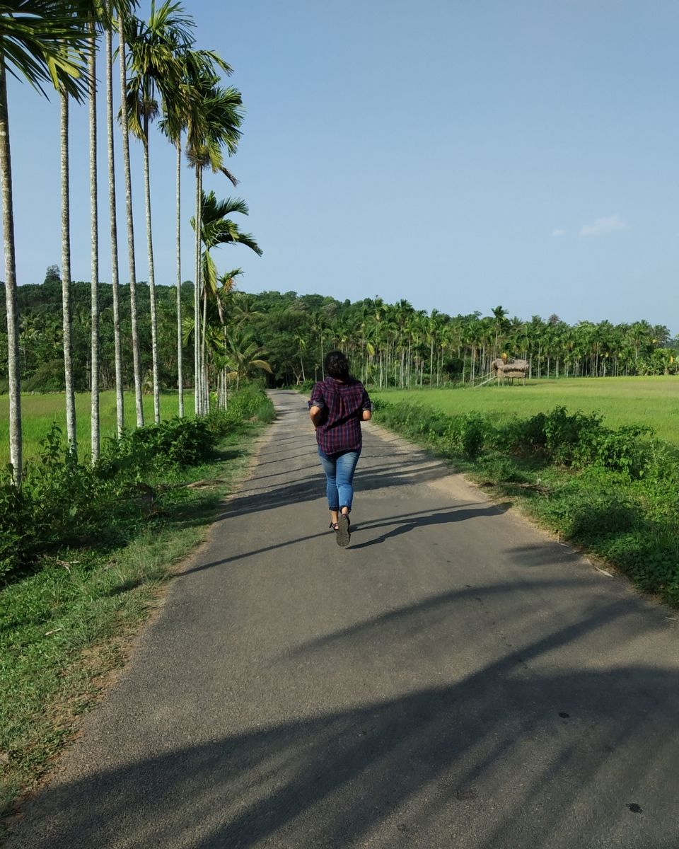 Photo of Food walk in God's own country!! by Namitha Vinod