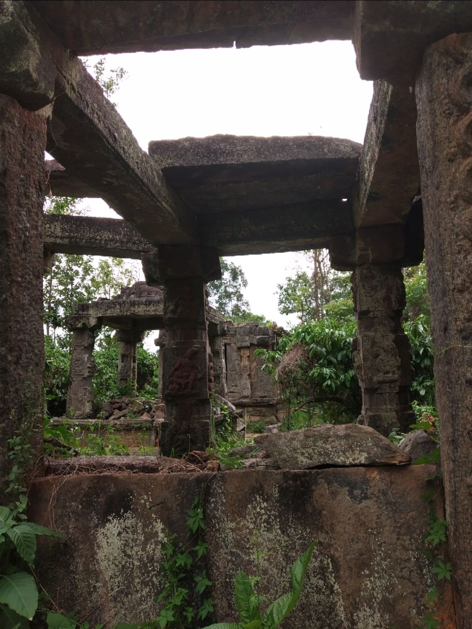 Photo of Food walk in God's own country!! by Namitha Vinod