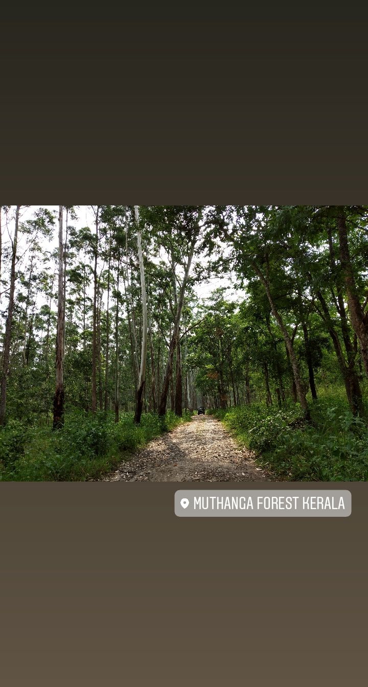 Photo of Food walk in God's own country!! by Namitha Vinod