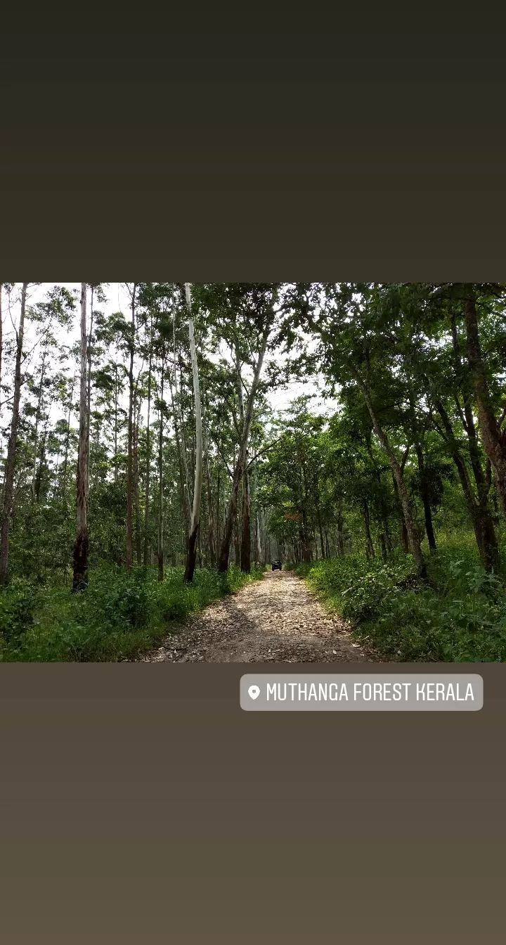 Photo of Food walk in God's own country!! by Namitha Vinod