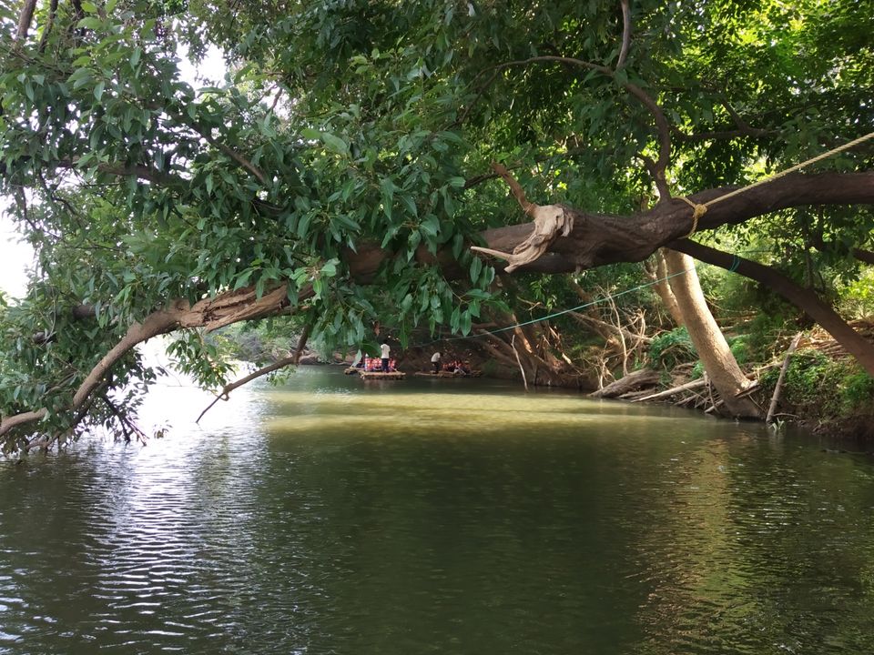 Photo of Food walk in God's own country!! by Namitha Vinod