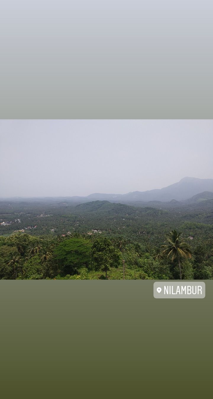 Photo of Food walk in God's own country!! by Namitha Vinod