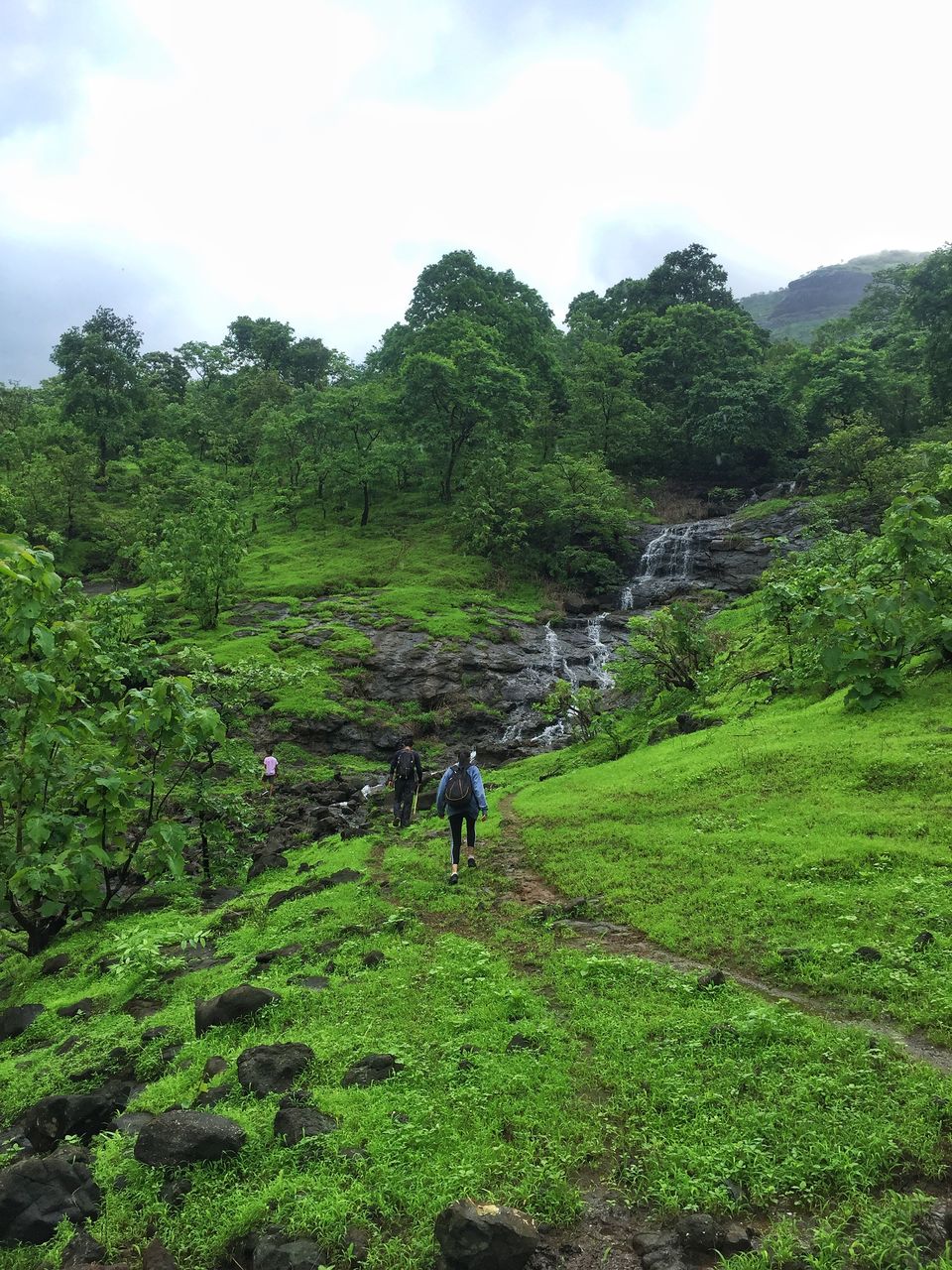 Photo of One Day Trek with Life away from Life 2/4 by Angeli Rajan