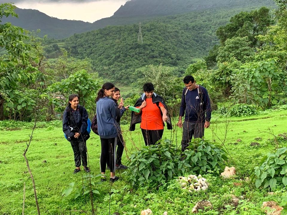 Photo of One Day Trek with Life away from Life 3/4 by Angeli Rajan