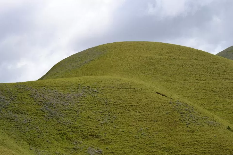 Photo of Kudremukh Park, Kudremukh, Karnataka, India by Eva Rana