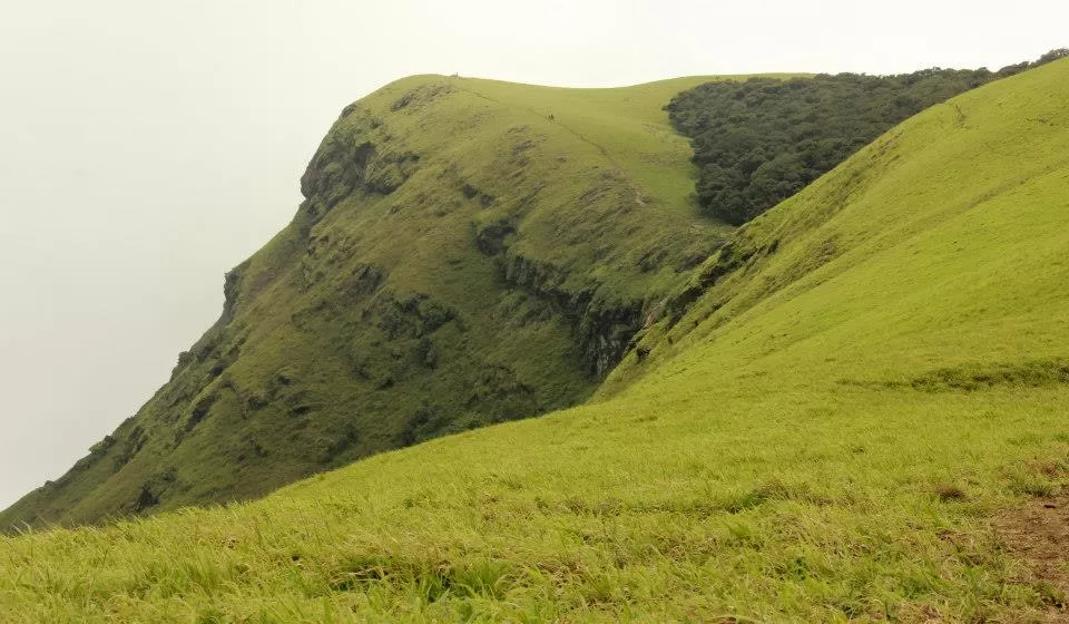 Photo of Kudremukh Park, Kudremukh, Karnataka, India by Eva Rana