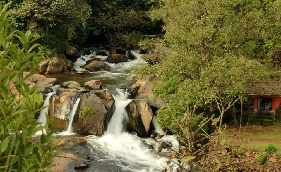 Photo of Kudremukh Park, Kudremukh, Karnataka, India by Eva Rana