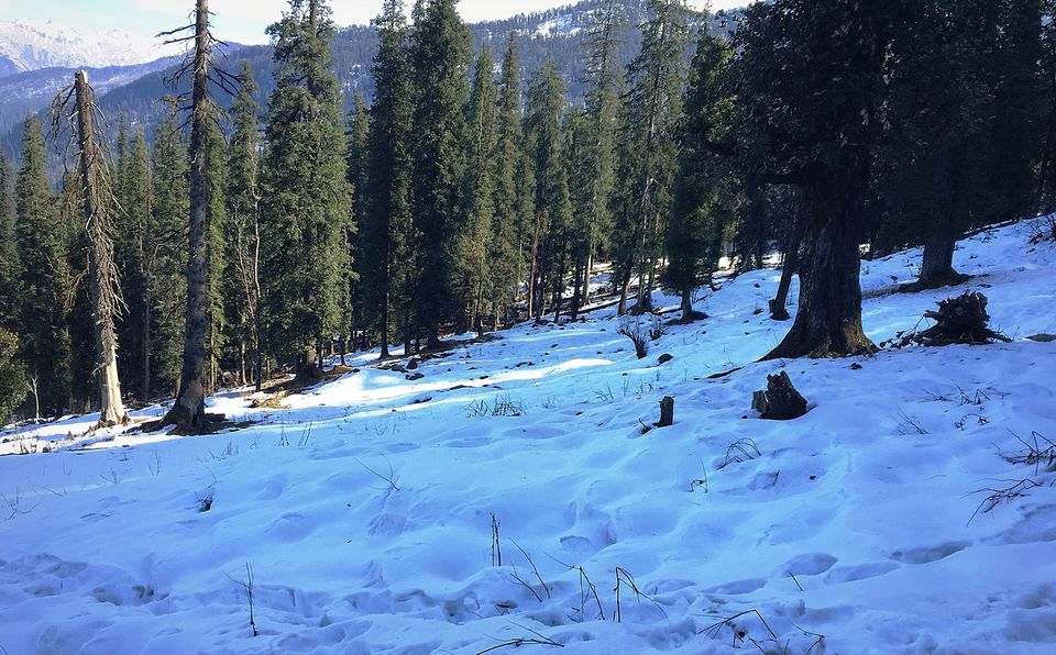 Photo of Himalayas: Must do/haves for a first-time trekker 7/16 by Eva Rana