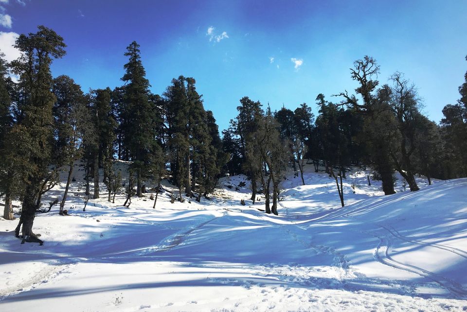 Photo of Himalayas: Must do/haves for a first-time trekker 8/16 by Eva Rana