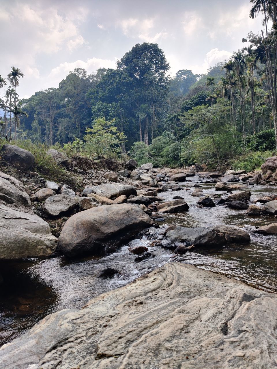 Photo of Solo Trip: Into the lush green Coorg 3/12 by paromita1912
