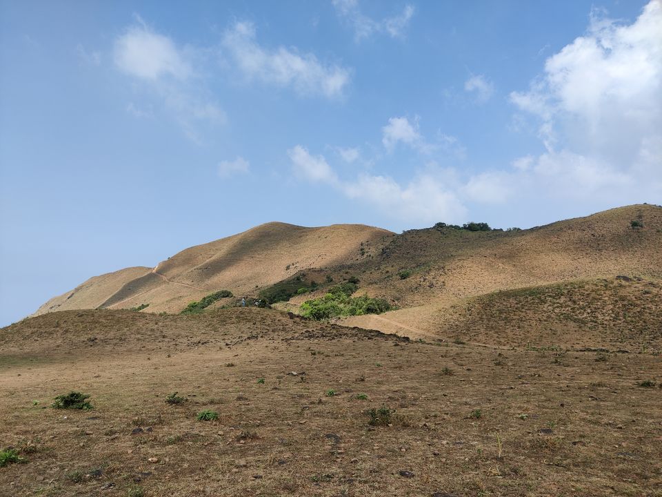 Photo of Solo Trip: Into the lush green Coorg 5/12 by paromita1912